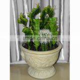 CHY030932 Artificial Ornamental Plant/plastic Decorative Cactus and Succulent thumbnail-2