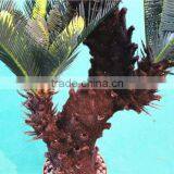 Home Garden Decorative 30cm to 200cm Height Artificial Bonsai Cycas EST11 2705 thumbnail-3