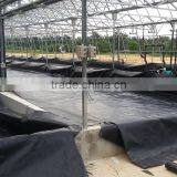Hdpe Black Rolls Geomembrane for Fish Farm thumbnail-3