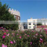 Qingdao Youqing Aquatics Co., Ltd. company overview - view 1 thumbnail