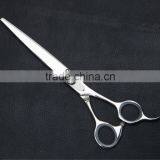 Y4564 Professional Pet Scissors