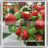 Realistic Mini Bonsai Plants Fresh Cranberry Fruits for Sale thumbnail-2