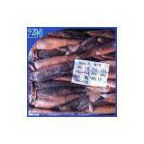 Sea Frozen Illex Squid 100-150g Fresh for Bait thumbnail-1
