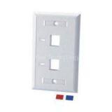 American Type Faceplate 2 Ports thumbnail-1