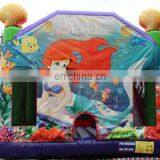 Idea Inflatable Co., Ltd. company overview - view 2 thumbnail