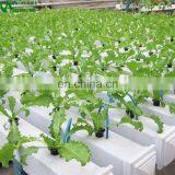 2017 Commercial Good Quality PVC Hydroponic For Sale