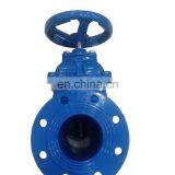 D100 Non Rising Stem Gate Valve Best Price thumbnail-3