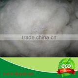 Natural Sheep wool for sale