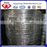 Reliable Quality Hot Dipped Galvanized Grass Land Fence thumbnail-4