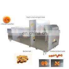 Runxiang Hot Selling Cheap Oli Olive Longan Lychee Apple Date Pitter thumbnail-5