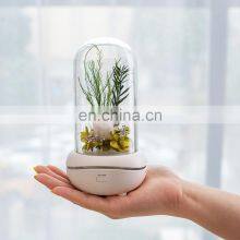 Amazon Hot Selling Aroma Lamp Wireless Comfortable Night Accompany Night Light thumbnail-4