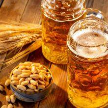 SS304 316L Stainless Steel Fermenter Manufacturer 100L–20000L thumbnail-2