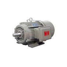 Ye5 Series National Standard Grade 1 Wannan Electric Motor Ye5-3551 2-8/220kw/250kw/660v/b3/ip65/b3/b35/b5, Customizable Upon Special Request thumbnail-3