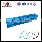 Blue Nylon Self-Locking Zip Plastic Cable Tie