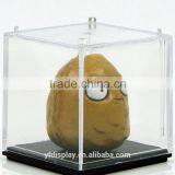Customzied Acrylic Product Display Box