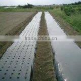 Ceramic Coffe Cups, Ceramic Coffee Cups Without Handle, Ceramic Tea Cups no Handle thumbnail-1