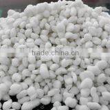 Ammonium Sulphate 21%N thumbnail-1
