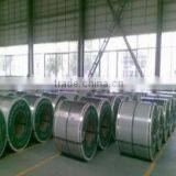 Shandong Huaxiang Import & Export Co., Ltd. company overview - view 2 thumbnail