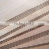 JAS Standard high quality commercial plywood board