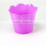 Colorful Plastic Bowel thumbnail-1