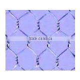 Hot Dipped Hexagonal Wire Mesh(factory)
