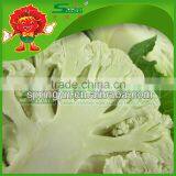 Best Quality Frozen Cauliflower thumbnail-1