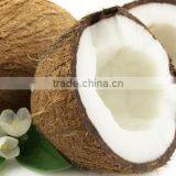 Semi Husked Coconuts From Pollachi thumbnail-1