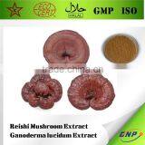 BNP Natural TOP Quality Reishi Spore Powder thumbnail-1