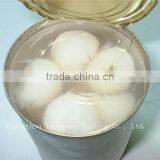 565g Canned Lychee in Light Syrup to Thailand thumbnail-1