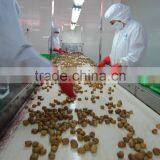 Peeled Roasted Chestnut's Kernels in Soft Canned thumbnail-2