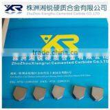 Tungsten Carbide Tip for Rock Segment