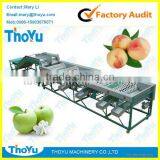 Thoyu Brand Salable Automatic Fruit/Apple/Peach Grading Machine by Size(SMS: 0086-15903675071)