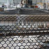 Hexagonal Shape Grass Protection Mesh thumbnail-2