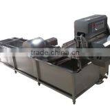 TW-307L Hot Sale Vegetable Washing Machine/ Fruit Washer/Vegetable Cleaning Machine thumbnail-2