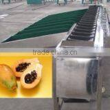 Automatic Fruit and Vegetable Washing Waxing and Grading Machine thumbnail-2