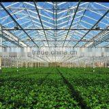 Balckout Greenhouse 0.08mm or 0.15mm PE Film Greenhouse Polythene Greenhouse thumbnail-5