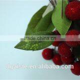 Artificial Red Bayberry Plastic Waxberry Plastic Fruit Decoration thumbnail-3