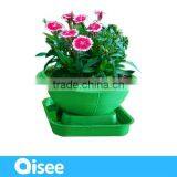 Hydroponics Plant Growing for Kids Green Globe thumbnail-1