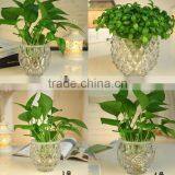 Handmade Designs Tulip Shape Cutting Cheap Glass Flower Vase thumbnail-1