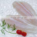 Pangasius Fillet thumbnail-3