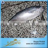 Frozen Bonito Fish Without Points thumbnail-5