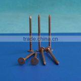 Galvanized Square Boat Nails thumbnail-1