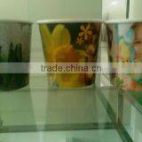 Big Paper Cup Planting,Paper Pot,Planting Cup thumbnail-1