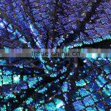 2017 New Arrivals Guangzhou Lace Fabrics Velvet African Lace Fabric thumbnail-5