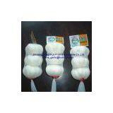 Fresh Pure White Garlic Garlic 2011 New Crop thumbnail-1