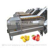 Cherry Tomato Grader Olive Grading Fruit Washing And Sorting Machine thumbnail-5