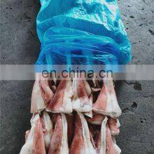 Frozen Squid Tip Giant Squid Tail Indian Ocean Squid Tip thumbnail-2