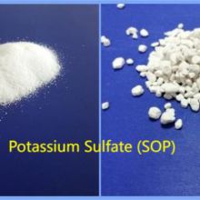Sylvite-potassium sulfate 
