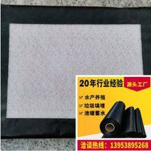 Bentonite Geosynthetic Clay Liner 6000 Knagi Waterproof Blanket