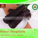 China Online Shopping With Certification Yellow Maize thumbnail-5